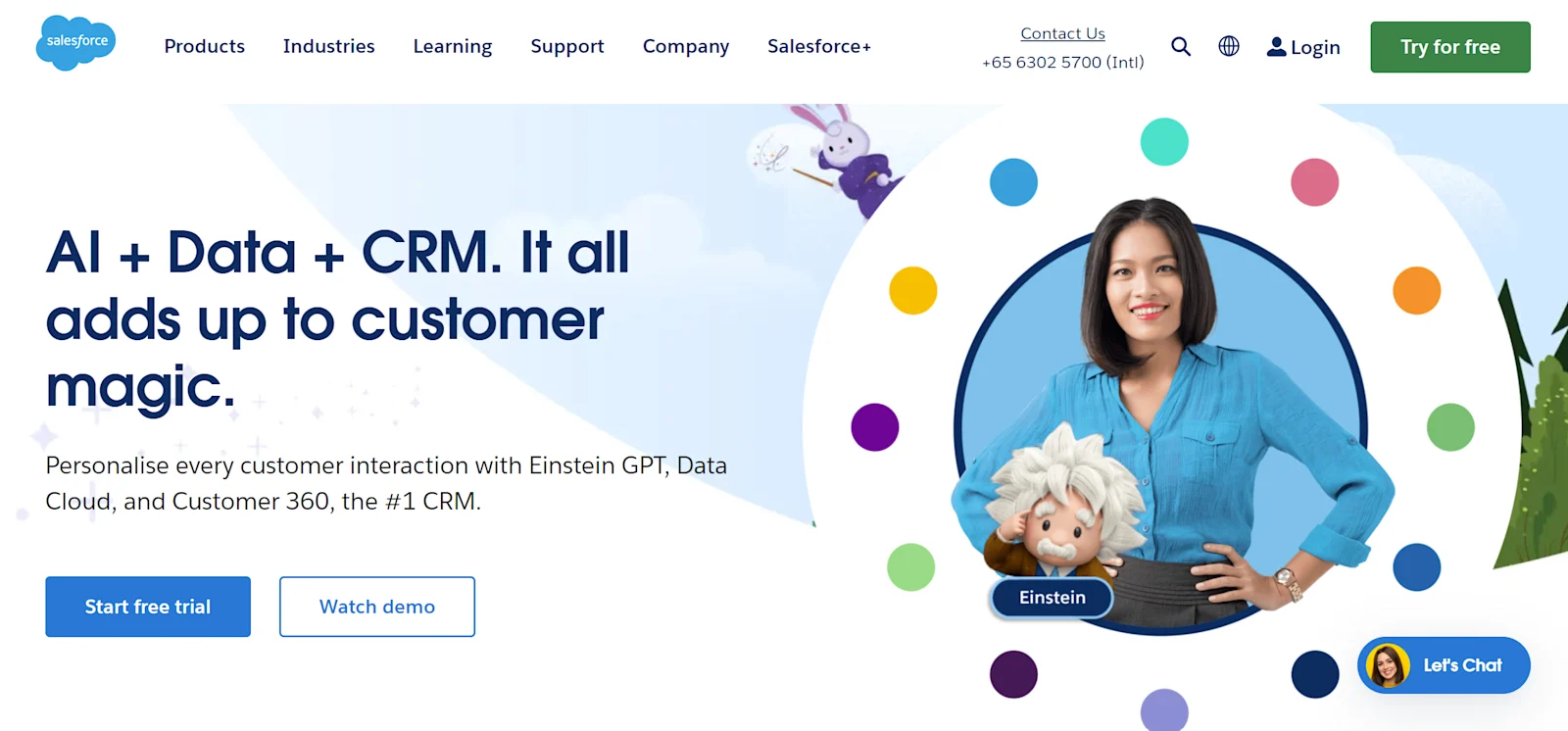Salesforce Website