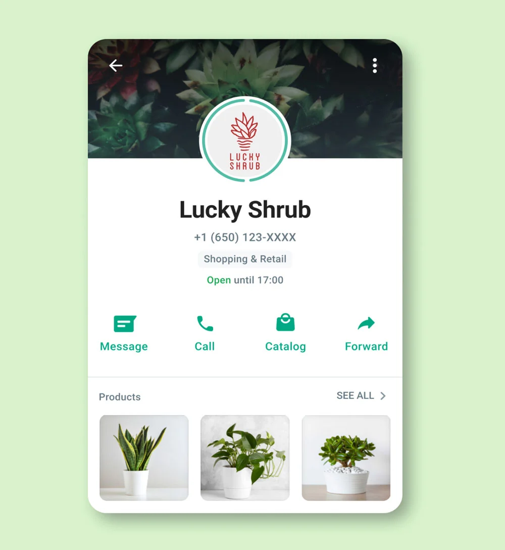 مثال لملف تعريف تجاري على واتساب للأعمال