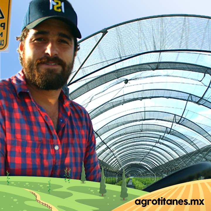 Agrotitanes