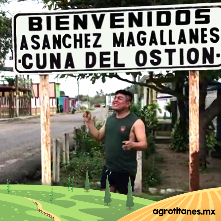 Agrotitanes