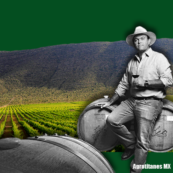 Agrotitanes