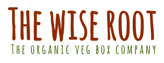 web design client - the wise root logo