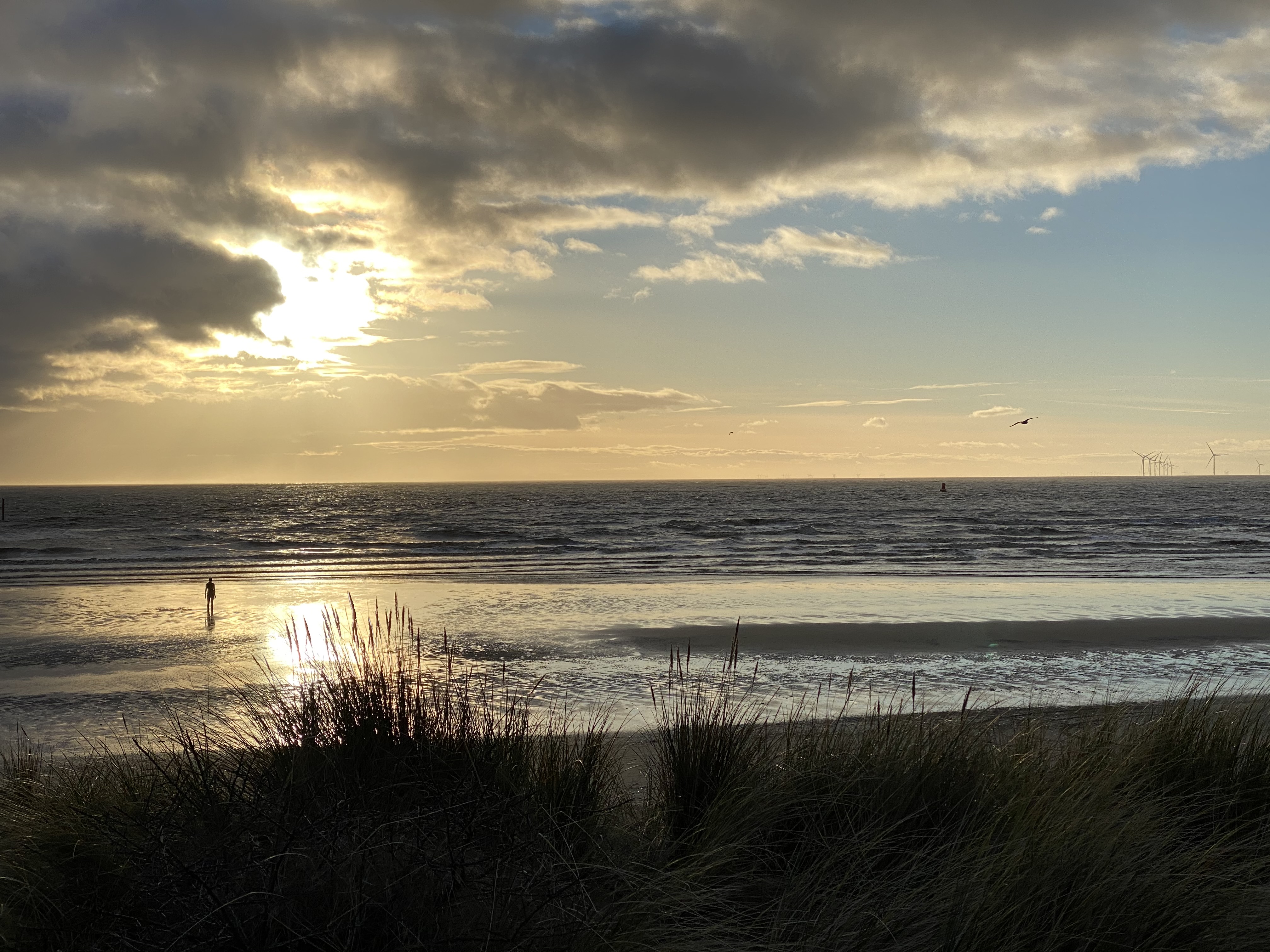 Crosby beach at sunset