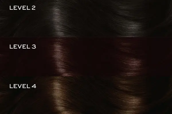 116705 JF Blog HairColor Assets Type2 850x566 e0b94d09-c82b-46fd-8fac-c2698f0b5b61 600x600