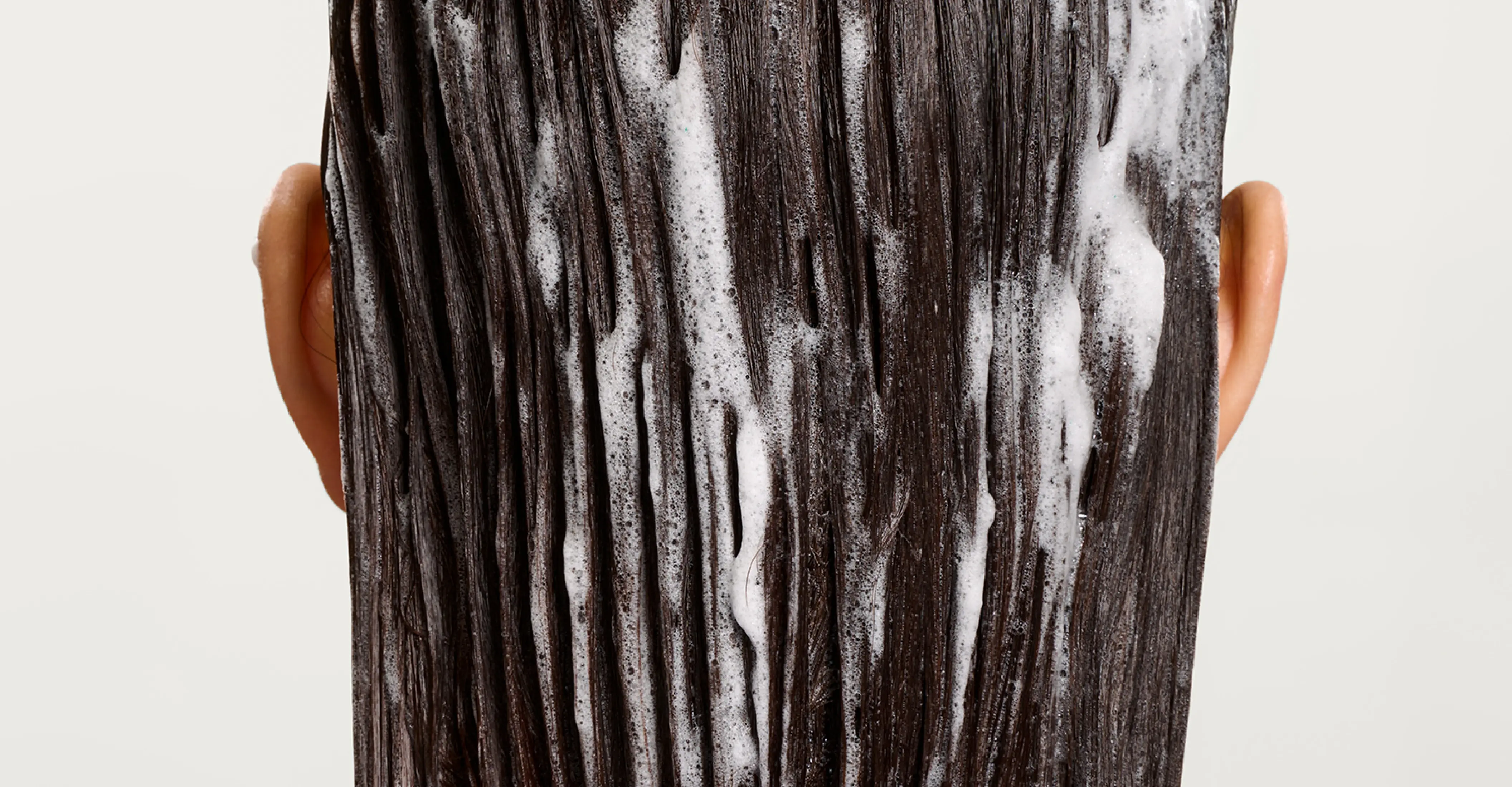 140189 JF Website Banner PT2-FINAL desktop 4225x2200-3