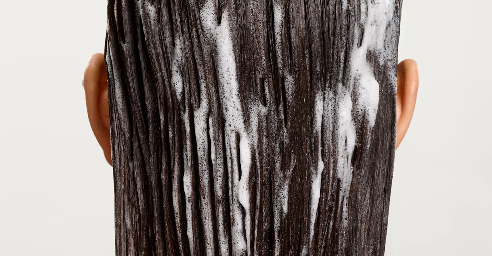 140189 JF Website Banner PT2-FINAL desktop 4225x2200-3