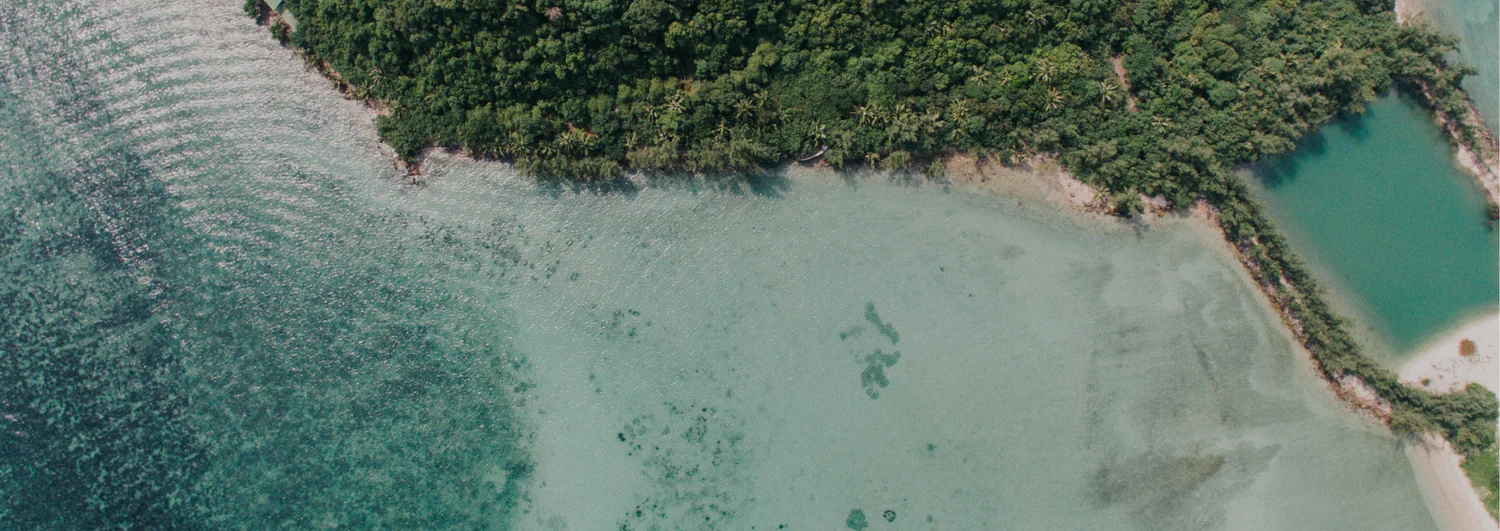 Rectangle_433_4_daafb142-ee6f-4029-a1b8-8fd6f3130765