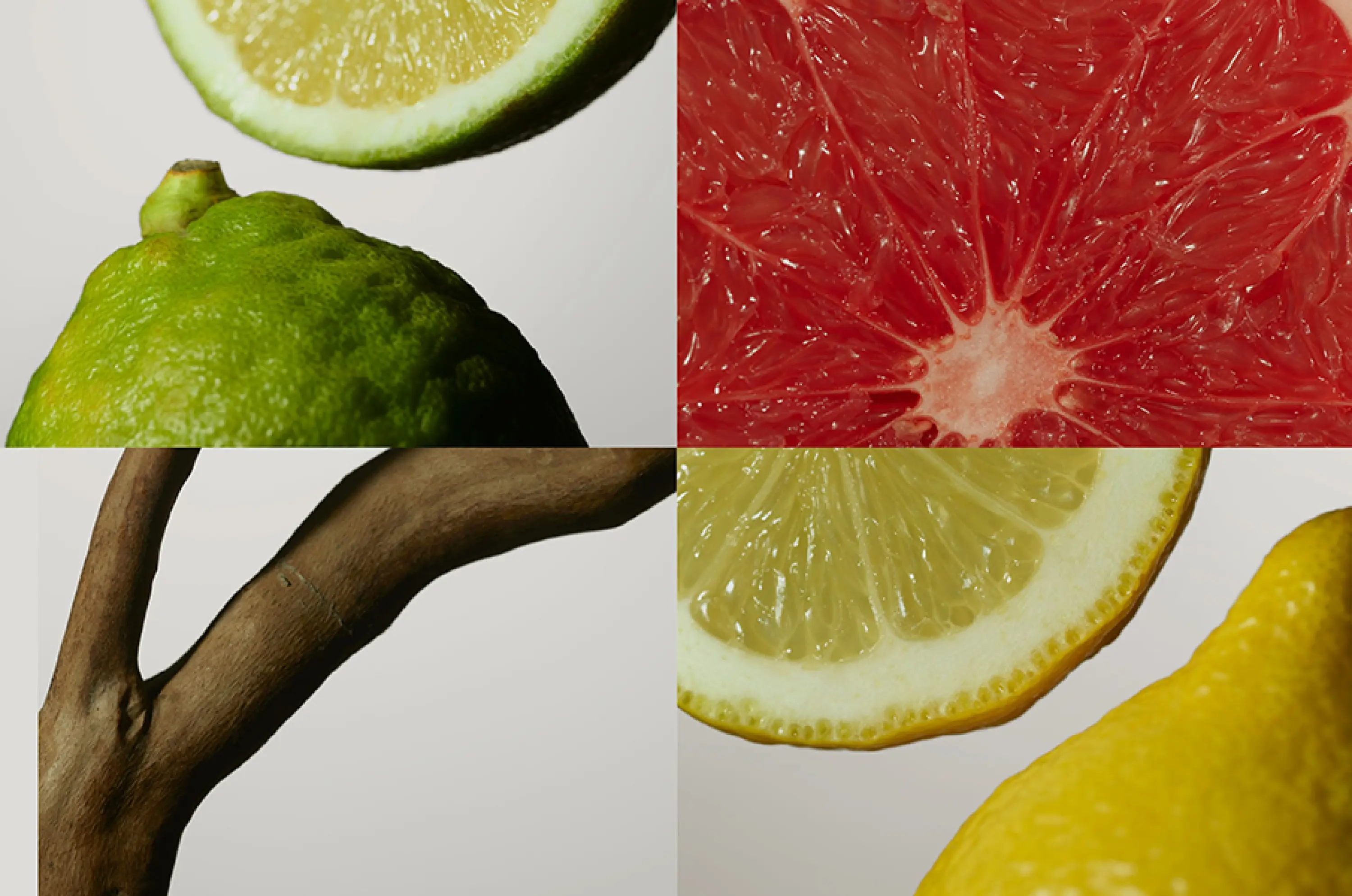 about-the-blonde-132532 JF Web Fragrance Mod-FNAL-07-3000x1989