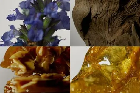 Product Philosophy_Split Section image