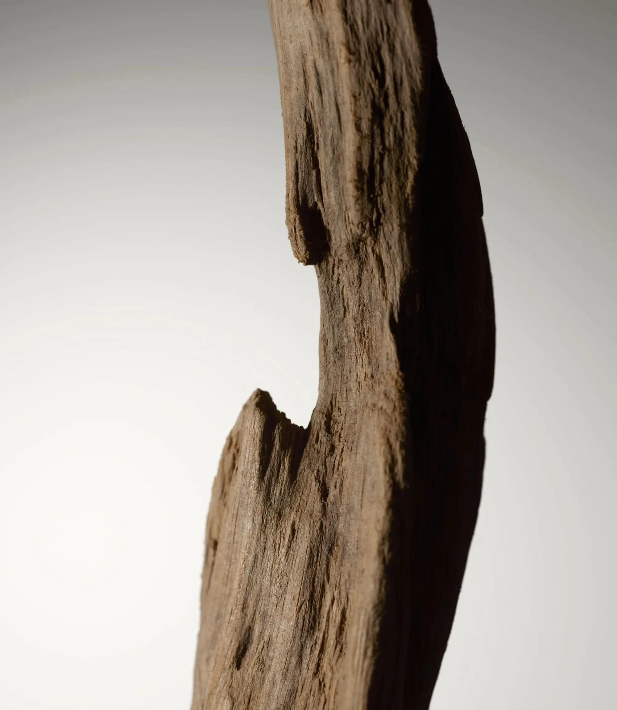 Eathery-tb JohnFrieda Fragrance Ingredients 16.10.2588455-2000x2300