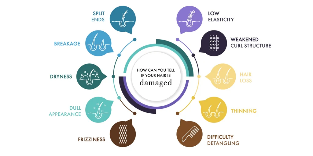 How to Restore Shine to Heat Damaged Hair_Hero Image