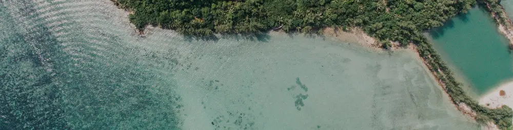 John Frieda - It's for Our Planet_Hero Image (Desktop)