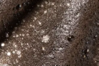 131880 JF Web Collection Page Header-FINAL-18-330x220