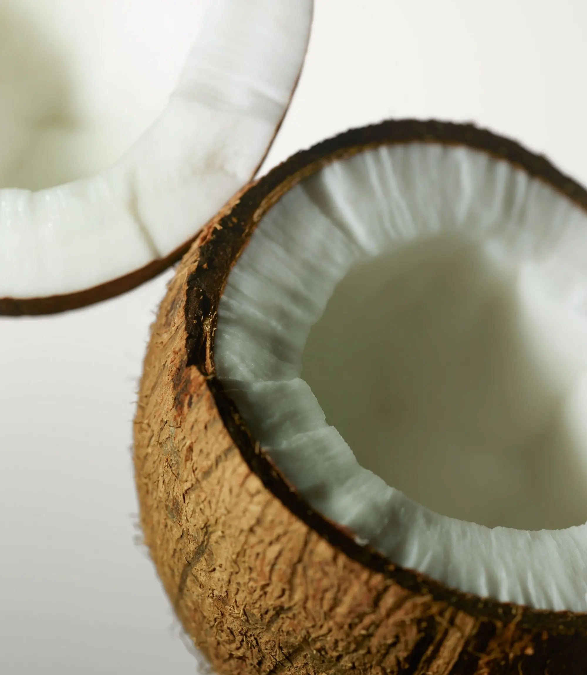 creamy-coconut-tb JohnFrieda Fragrance Ingredients 16.10.2588590-2000x2300