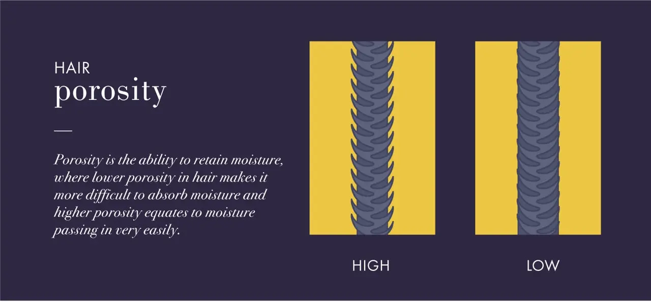 why_is_my_hair_so_frizzy-2_IMG