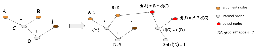 comp graph backward