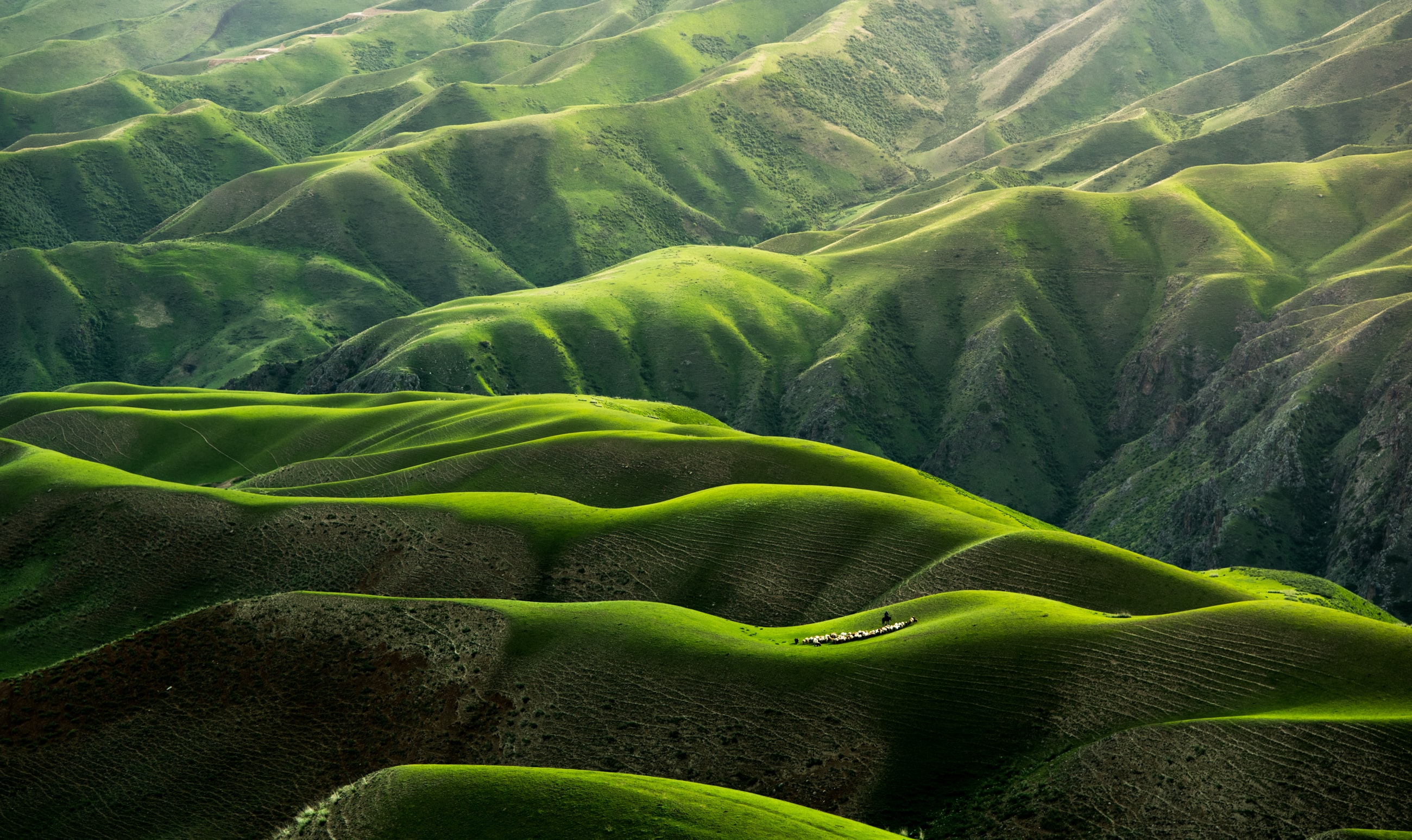 Rolling green hills