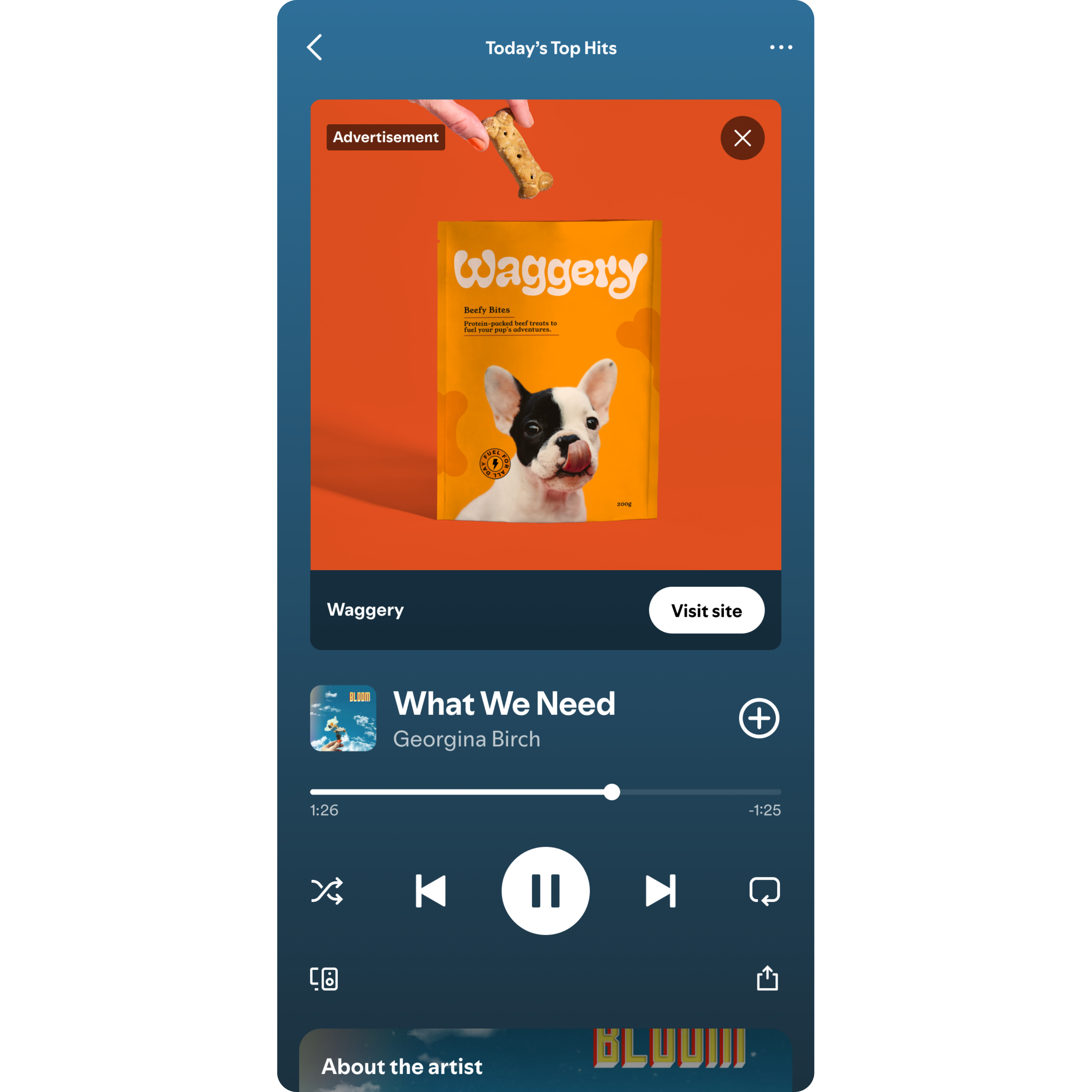 Ad Formats
