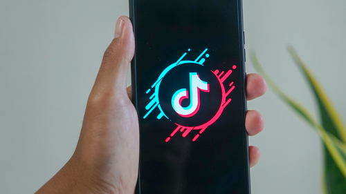 Rishi Sunak faces calls to ban TikTok use by government officials | Curio