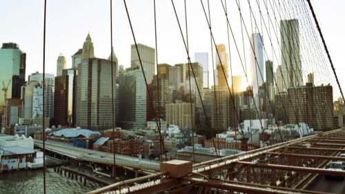 Peter Thiel is taking a break from democracy | Curio