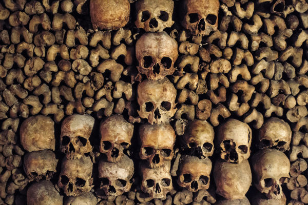 Skulls are some of the most affecting of the items displayed in the Catacombs.
