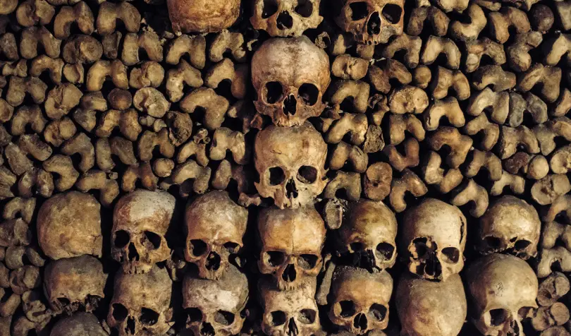 paris-catacombs-tour-skulls-wall-detail.jpg