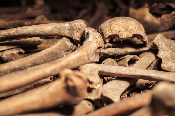 The amount of bones you'll see on this Paris Catacombs tour is truly staggering. 