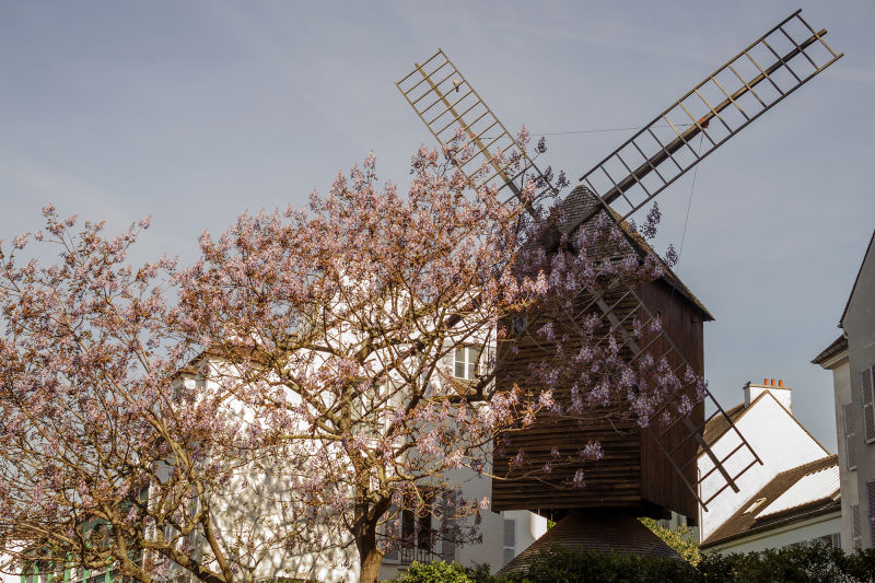 The windmills of Montmartre are one of the most iconic sites in the neighborhood, but these days they're mostly for show. 