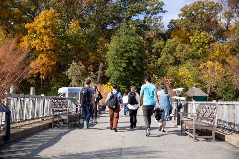 Small Group Washington DC Walking Tours Skip the Line Entry Take Walks