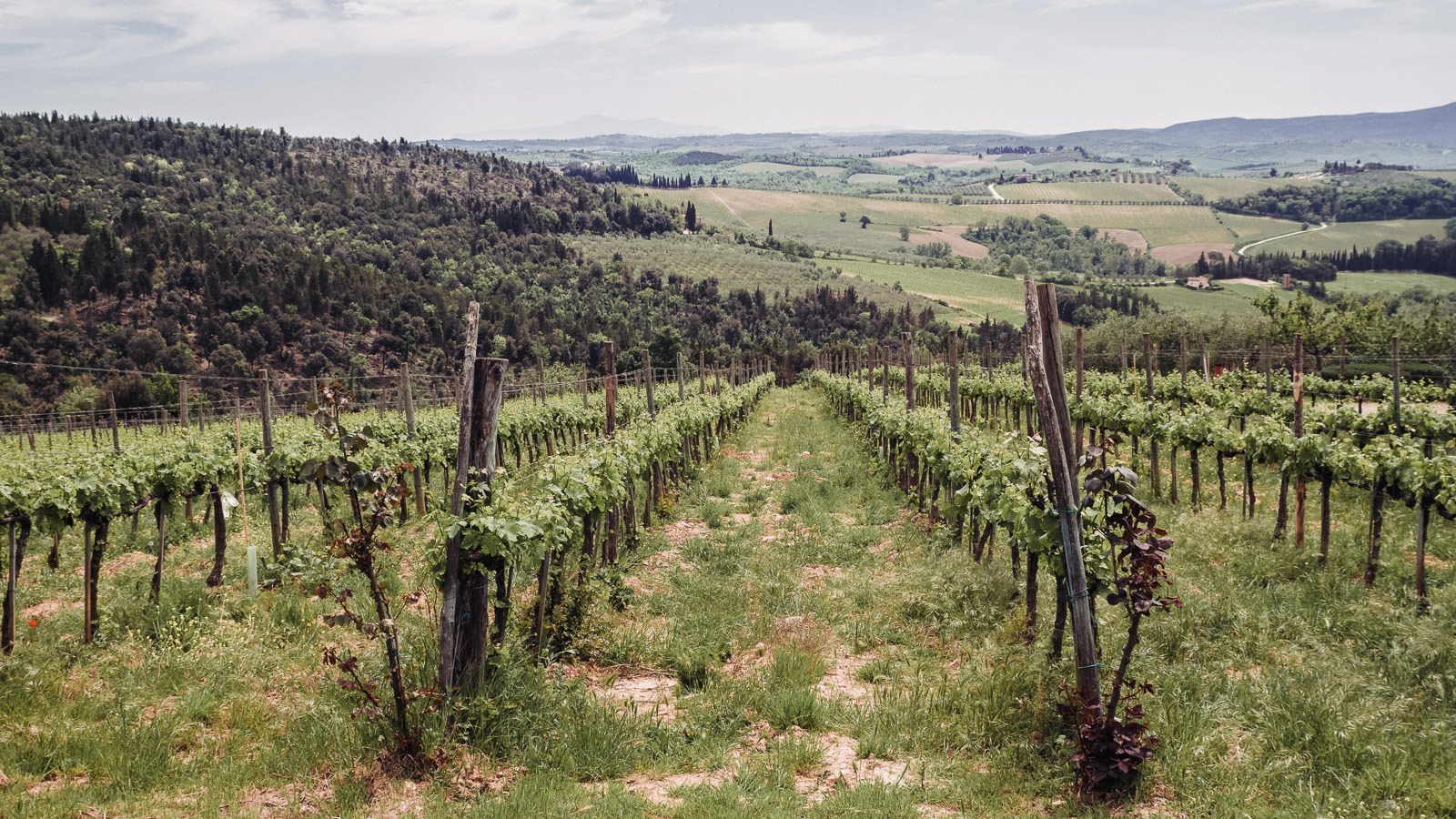 Image result for The Best of Tuscany in One Day: A Tour from Florence to Remember infographics