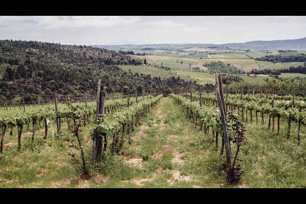 Image result for The Best of Tuscany in One Day: A Tour from Florence to Remember infographics