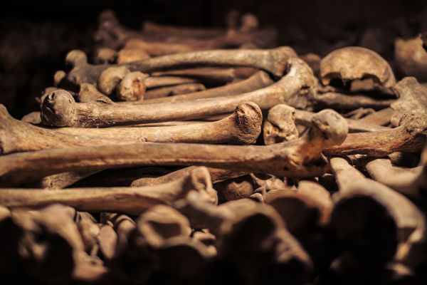 Femurs and skulls make up the majority of the human remains you will encounter on this tour.