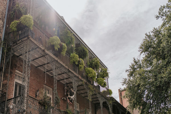 Walk the unique streets of the French Quarter