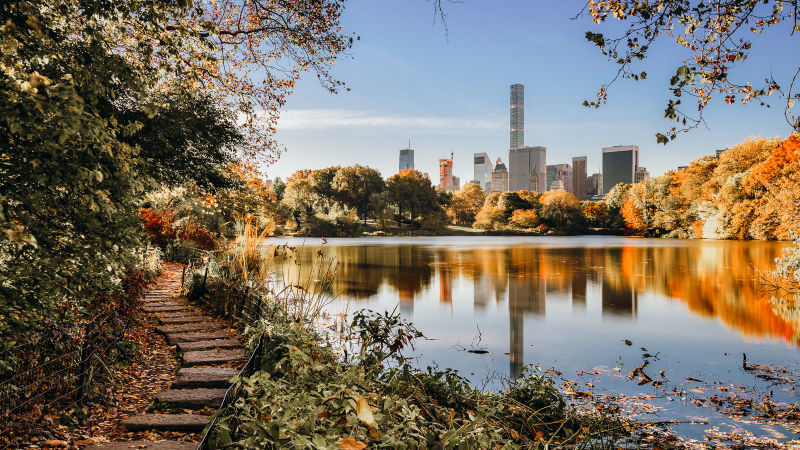 Central Park Walking Tour With Free Bike Rental Walks