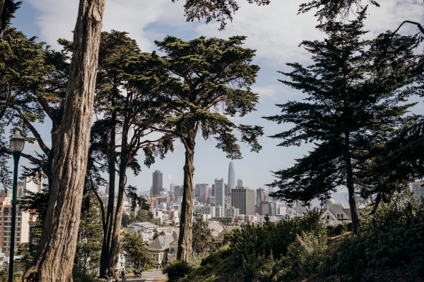 You'll capture some pretty gorgeous view of San Francisco along the way.