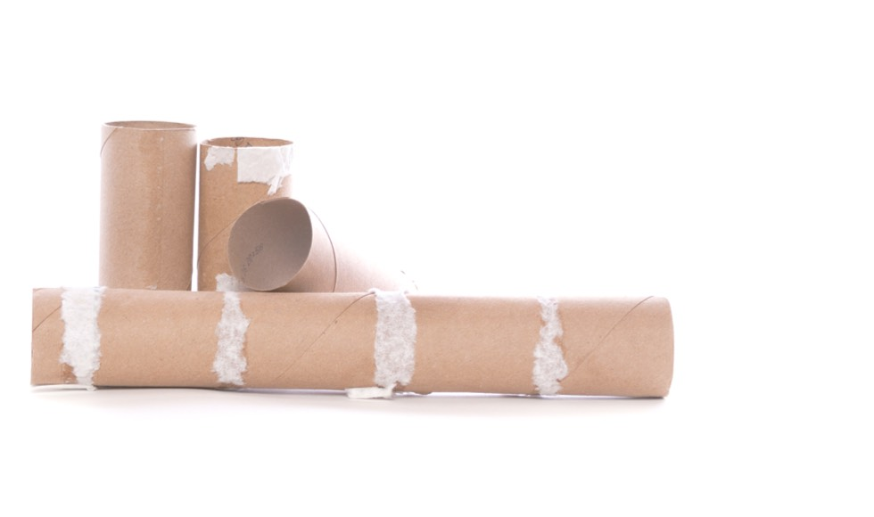 Four empty Bounty paper towel rolls