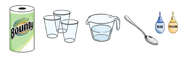 Supplies needed to make a paper towel bridge: Roll of Bounty paper towel, three clear plastic cups, measuring cup, silver spoon, yellow and blue food coloring