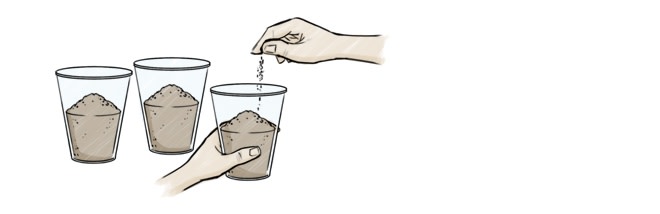 Hand pouring soil into three cups