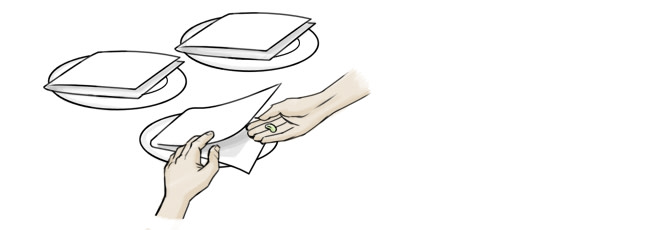 Seeds inserted inside three folded sheets of Bounty paper towel and placed on plates