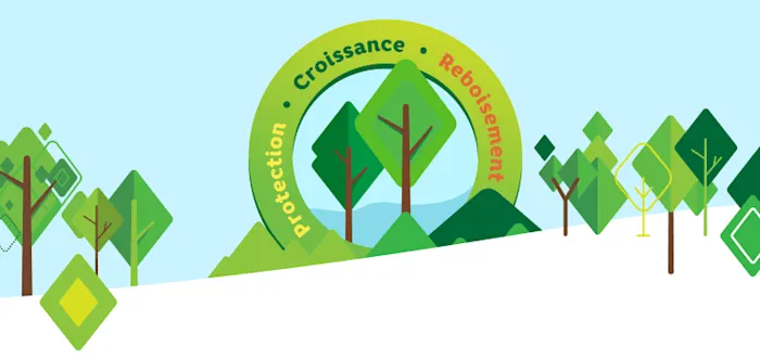 Logo Protection, Croissance, Reboisement, entouré d'illustrations d'arbres en forme de losanges