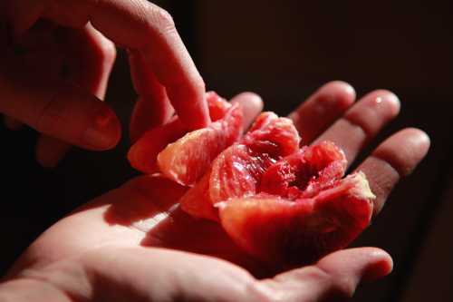 A hand holding slices of fruit.