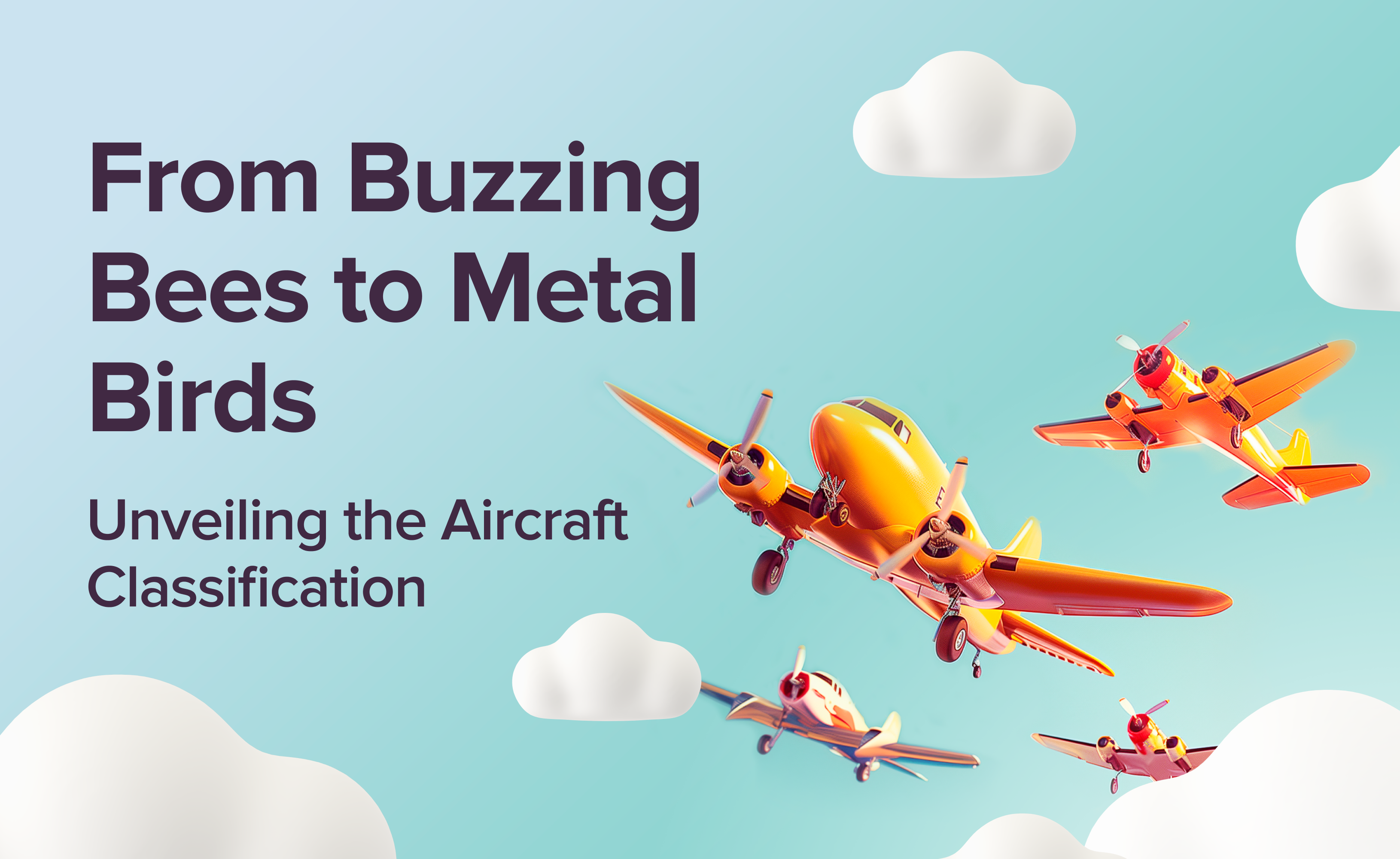 From Buzzing Bees to Metal Birds. Unveiling the Aircraft Classification