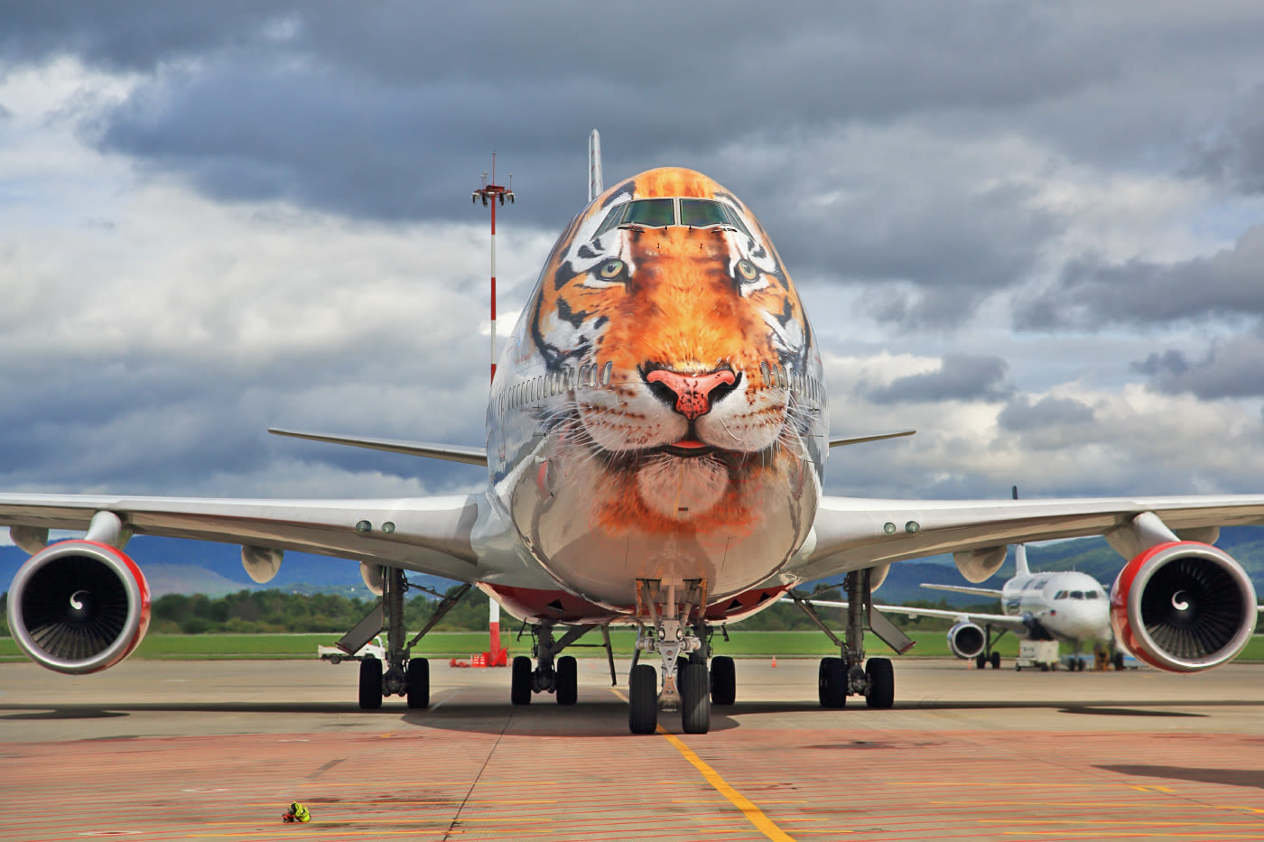 Flying Tiger 01