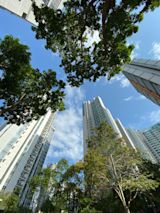 Climate Finance Banner