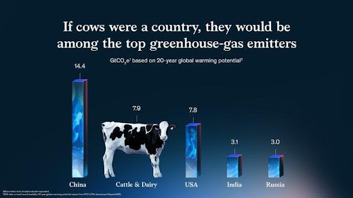 Design your own data visualisation - example 2 - www.mckinsey.com