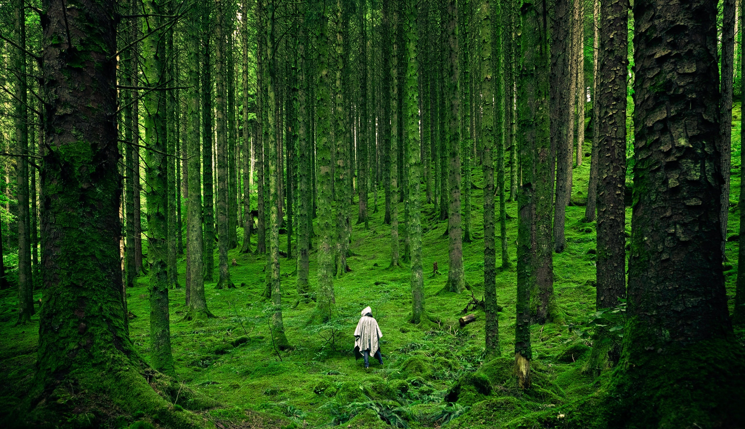 How To Improve Climate Anxiety Through Engaged Climate Communication