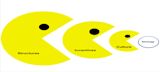 Ryan Pacman Model