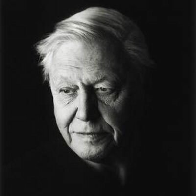 david-attenborough_asset_david-attenborough