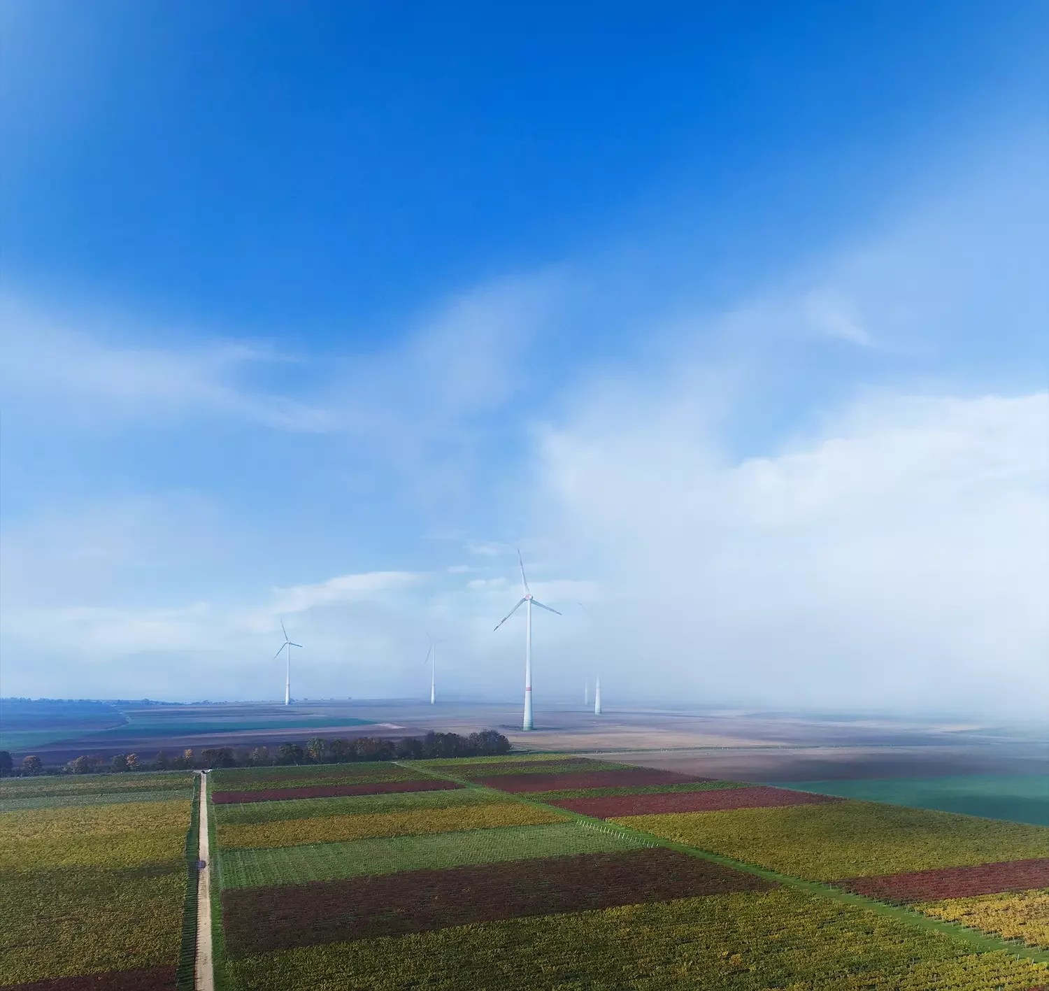 Titelbild alt "Windrädern auf herbstlichen Feldern'