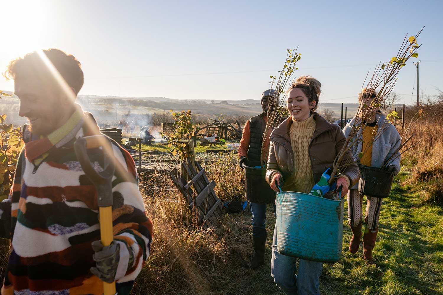 Personen-pflanzen-neue-Bäume Personen-pflanzen-neue-Bäume